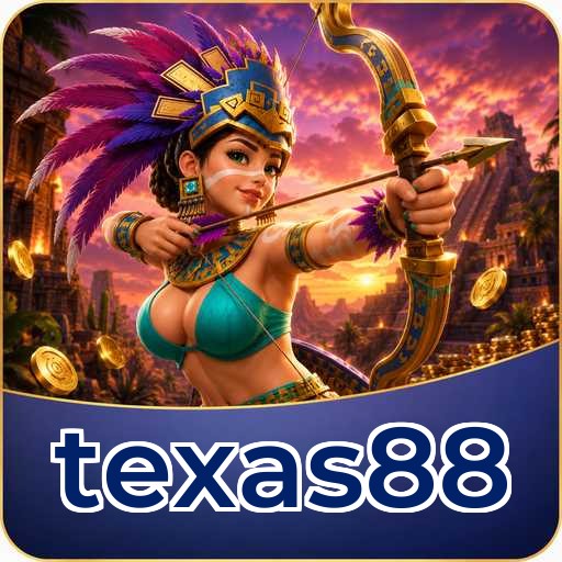 Permissions texas88
